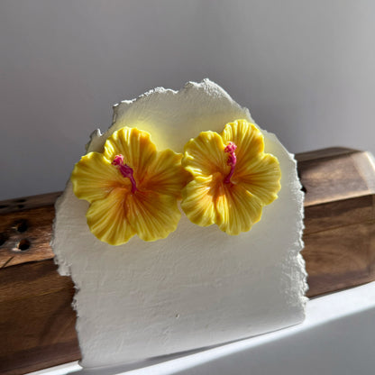 Hibiscus studs