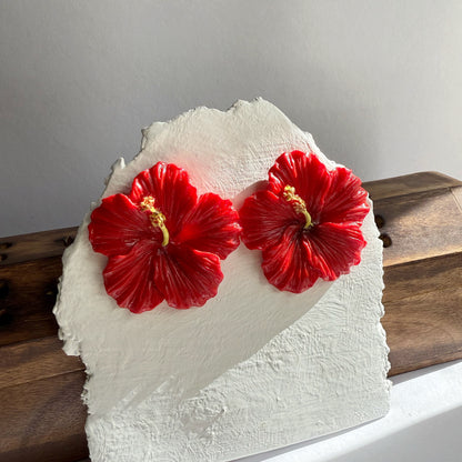 Hibiscus studs