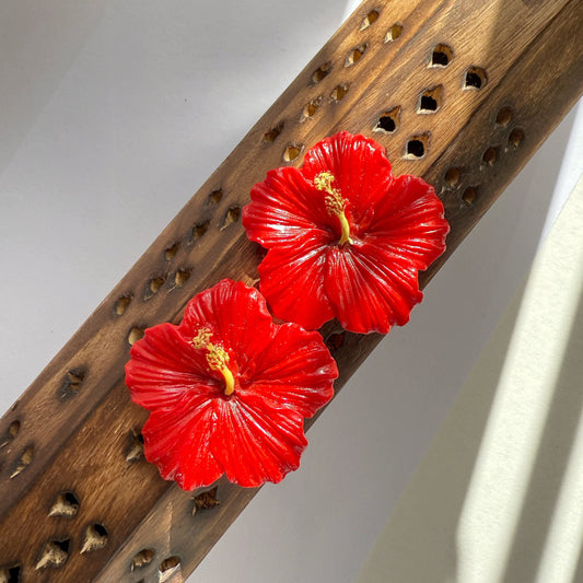 Hibiscus studs